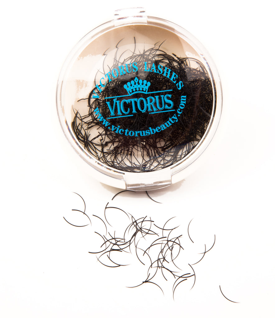 Bulk/Pot Lashes - J Curl - victorusbeauty